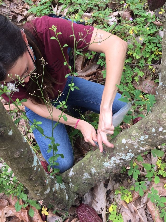 /ARSUserFiles/56551/photo2_ecuador sampling_2019.jpg